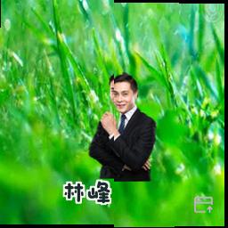 林峰